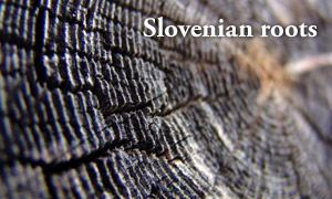 slovenian_roots_2